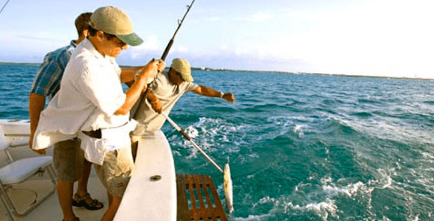 motor yacht bimini