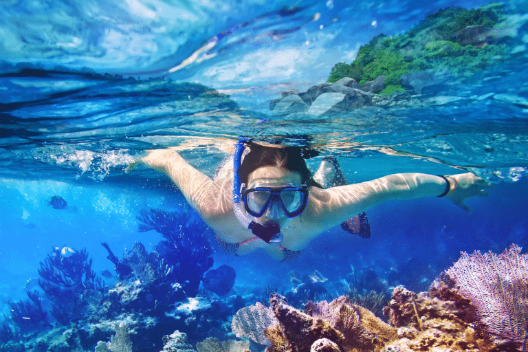 Snorkeling Tours in Miami, Florida The Advantaged